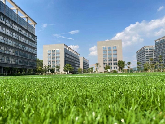 stofdichte sportvloercoating superieure veerkracht voetbalveld verf TDS